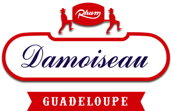 Logo Damoiseau